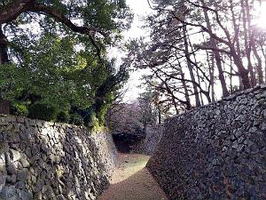 NAGOYA - Le Chateau- 09.01.2024 - 23